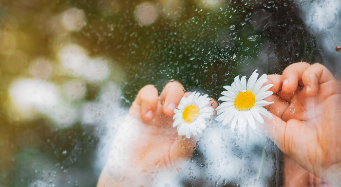 chuva pela janela - 6 Atitudes que ajudam a tornar o seu filho uma pessoa melhor no futuro